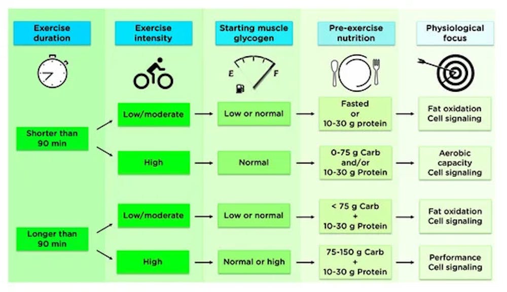 Αξίζει η προπόνηση σε καθεστώς νηστείας; Οι διαφορές στην απόδοση και οι προσαρμογές στη μέγιστη αερόβια ικανότητα (Μέρος Β’) runbeat.gr